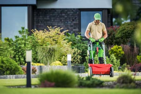 Benefits of Professional Lawn Care