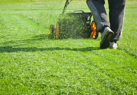 Importance of Winter Season Lawn Care: A Comprehensive Guide