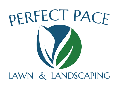 Mount holly landscaping company logo box